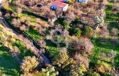 Datça Yazı ' da İmarlı 236 m² Arsa