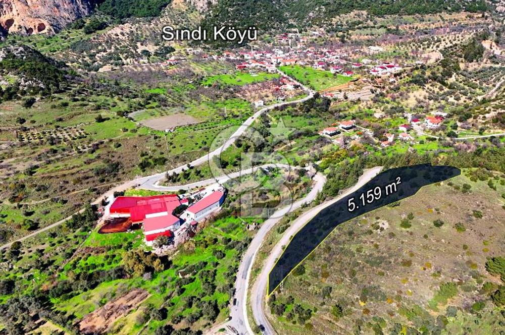 Datça Sındı Köyü'nde 5.159 m² Yol Cepheli ve Manzaralı Tarla 