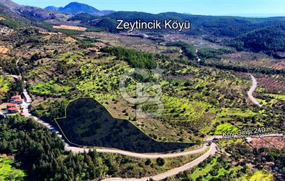 Datça Sındı Köyü'nde 5.159 m² Yol Cepheli ve Manzaralı Tarla 