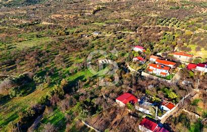 Datça Yazı ' da İmarlı 236 m² Arsa