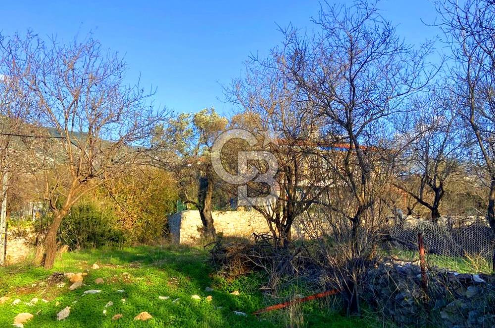 Datça Yazı ' da İmarlı 236 m² Arsa