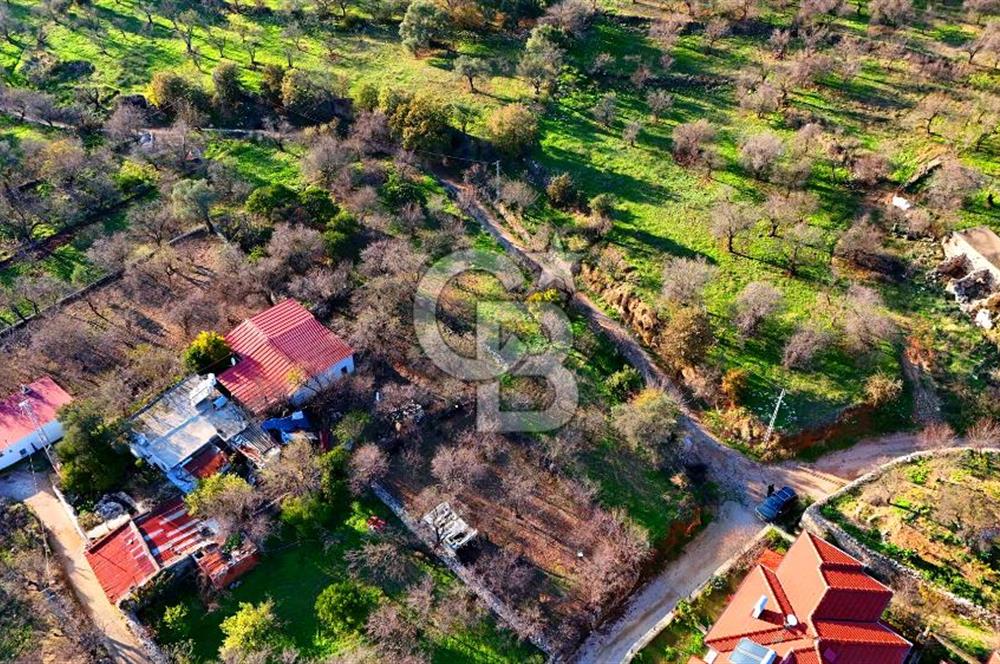 Datça Yazı ' da İmarlı 236 m² Arsa