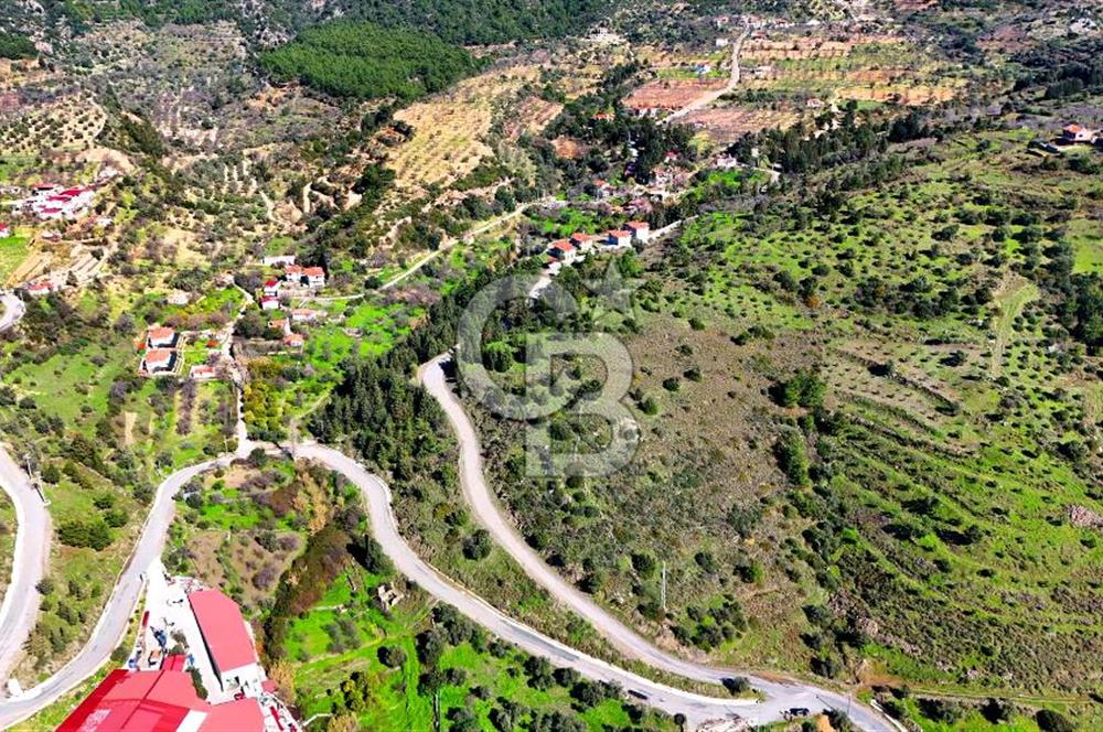 Datça Sındı Köyü'nde 5.159 m² Yol Cepheli ve Manzaralı Tarla 
