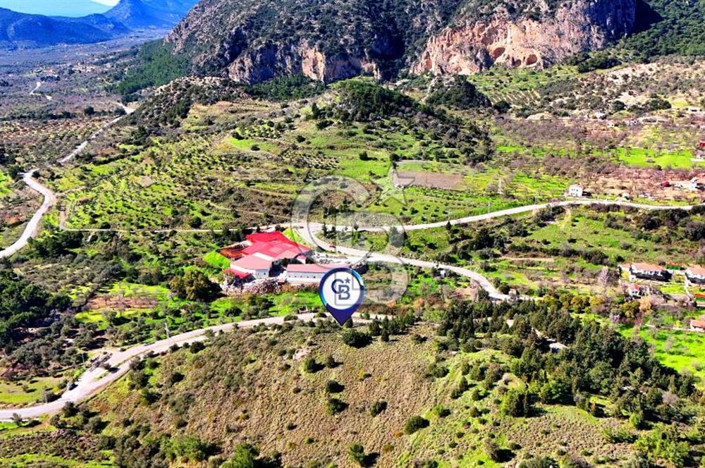 Datça Sındı Köyü'nde 5.159 m² Yol Cepheli ve Manzaralı Tarla 