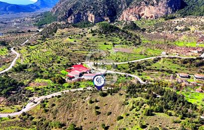 Datça Sındı Köyü'nde 5.159 m² Yol Cepheli ve Manzaralı Tarla 