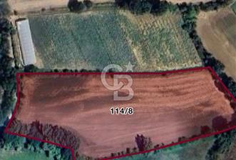 KASTAMONU MERKEZ HASKÖY’DE 8.970 m² SATILIK TARLA - 1 - 334178