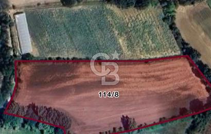 KASTAMONU MERKEZ HASKÖY’DE 8.970 m² SATILIK TARLA