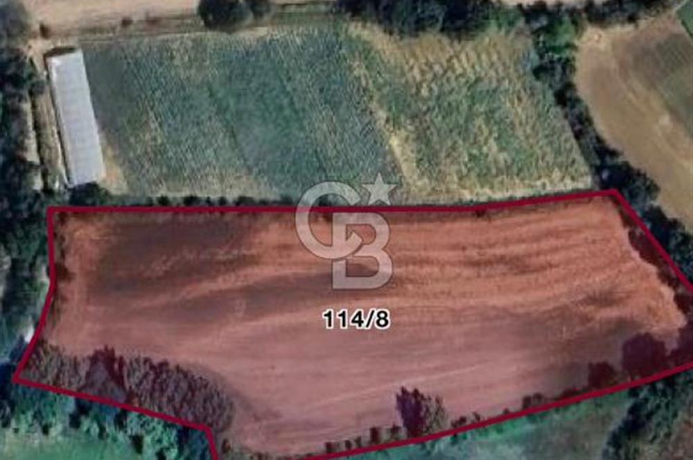 KASTAMONU MERKEZ HASKÖY’DE 8.970 m² SATILIK TARLA