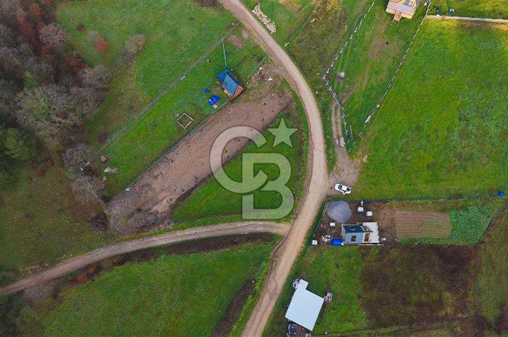 Çanakkale Biga Akkayrak Köyünde Satılık 875m2 Tarla !