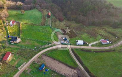 Çanakkale Biga Akkayrak Köyünde Satılık 875m2 Tarla !