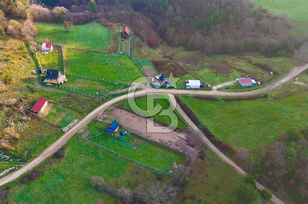 Çanakkale Biga Akkayrak Köyünde Satılık 875m2 Tarla !