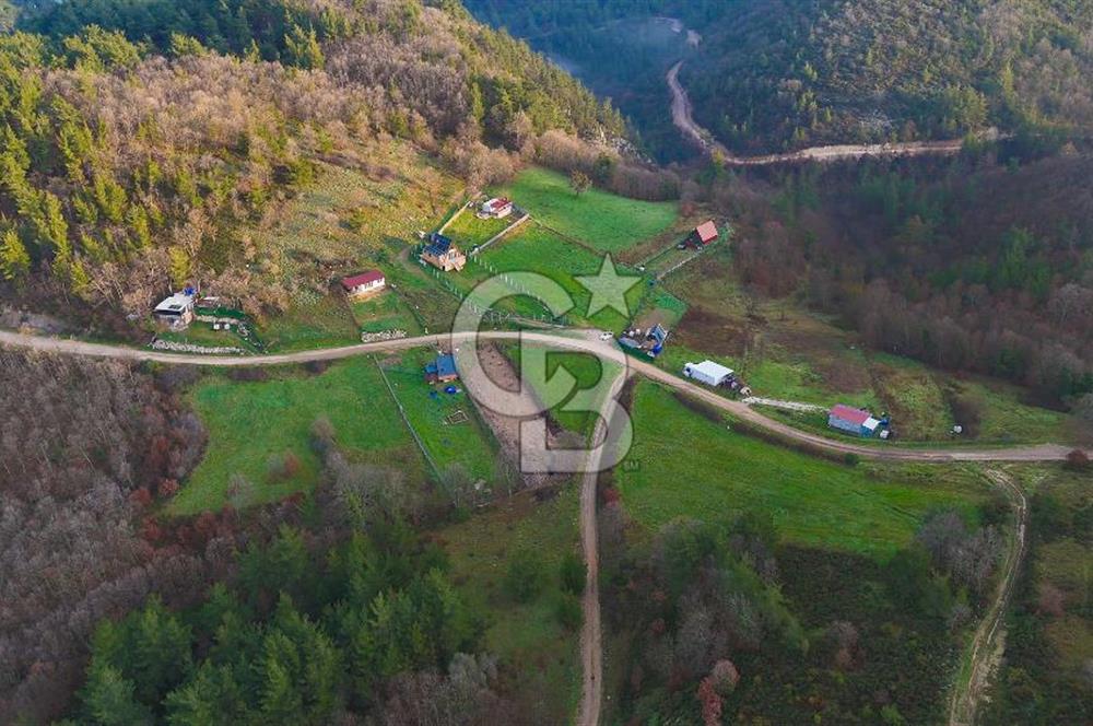 Çanakkale Biga Akkayrak Köyünde Satılık 875m2 Tarla !