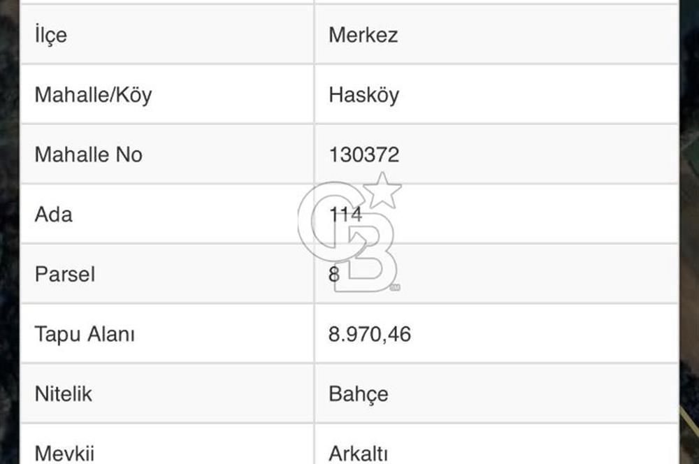 KASTAMONU MERKEZ HASKÖY’DE 8.970 m² SATILIK TARLA