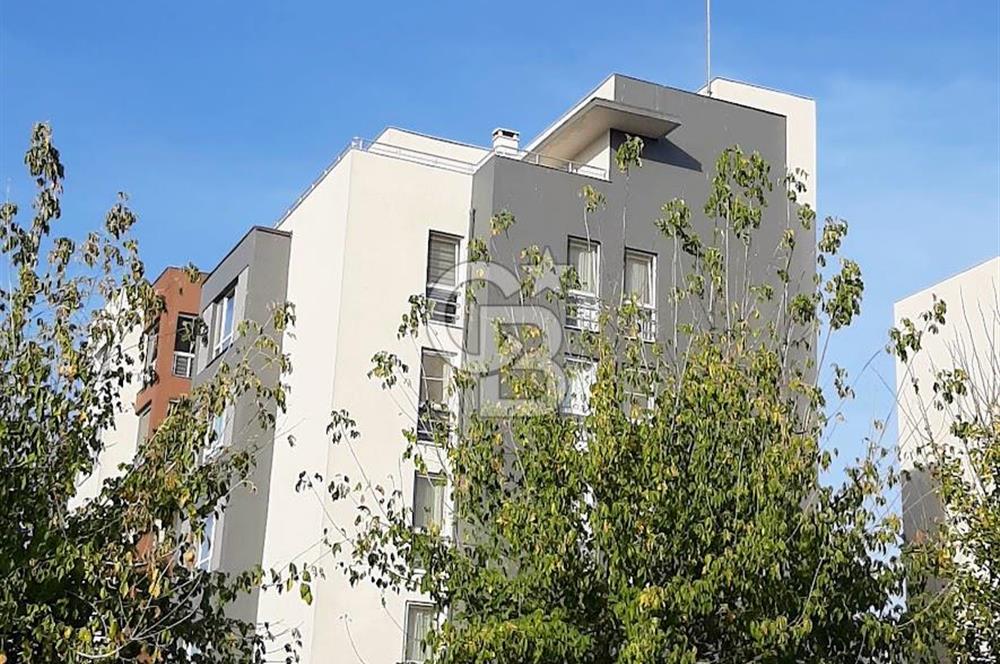 Selimpaşa TOKİ'de 80 m2 + 47 m2 Teraslı Geniş 1+1 Satılık Daire