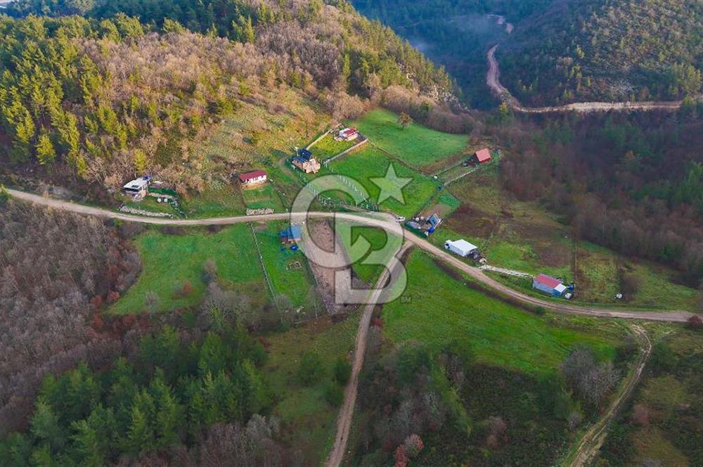 Çanakkale Biga Akkayrak Köyünde Satılık 875m2 Tarla !