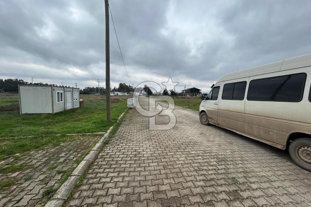 YALOVA ALTINOVA DA İMAR DİBİ 251 M2 SATILIK ARSA