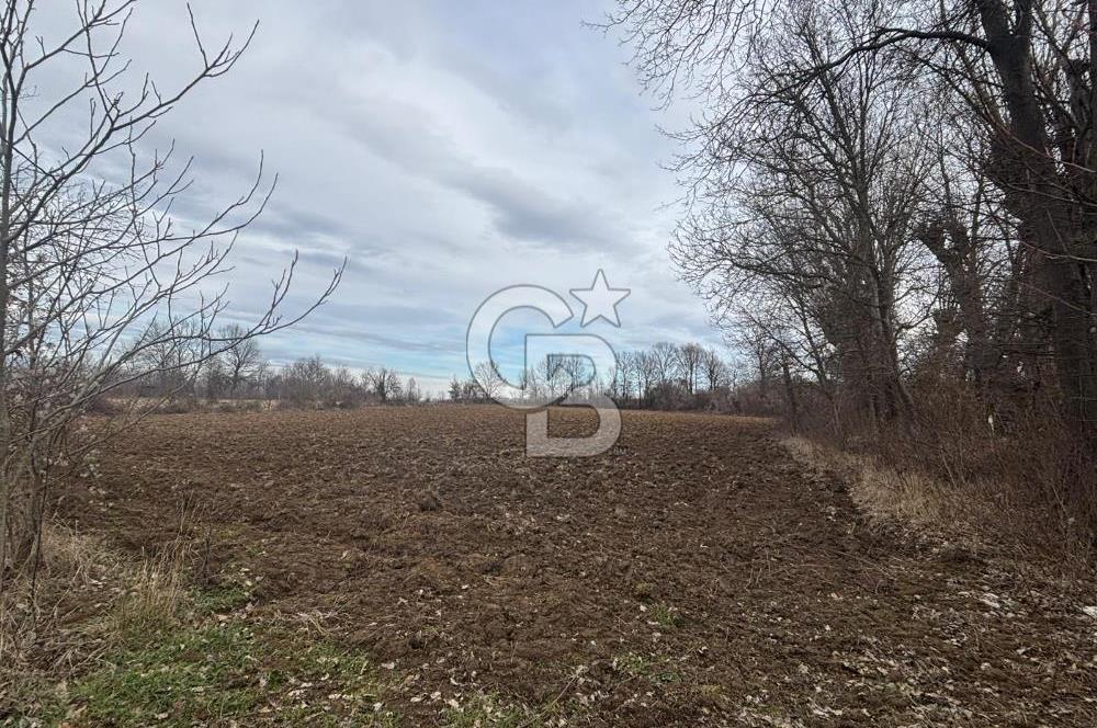 KASTAMONU MERKEZ HASKÖY’DE 8.970 m² SATILIK TARLA