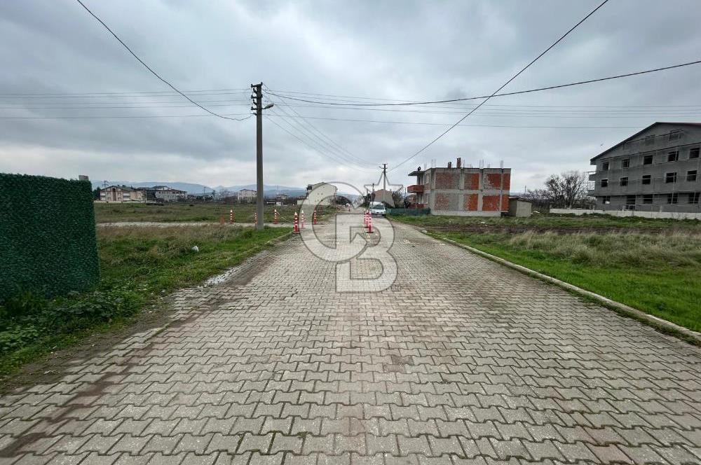 YALOVA ALTINOVA DA İMAR DİBİ 251 M2 SATILIK ARSA