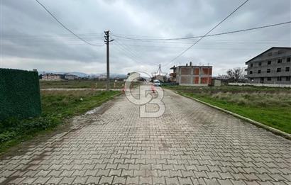 YALOVA ALTINOVA DA İMAR DİBİ 251 M2 SATILIK ARSA