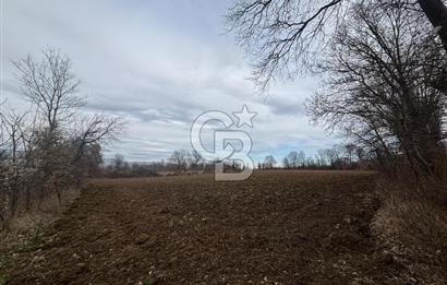 KASTAMONU MERKEZ HASKÖY’DE 8.970 m² SATILIK TARLA