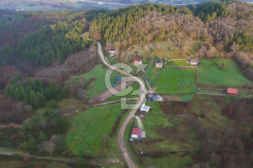 Çanakkale Biga Akkayrak Köyünde Satılık 875m2 Tarla !