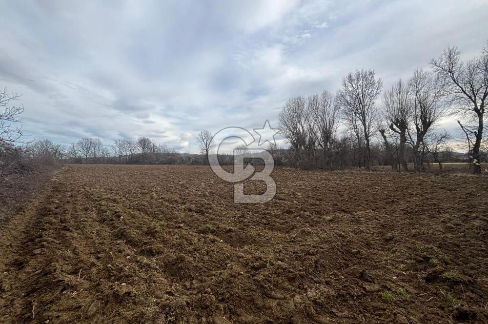 KASTAMONU MERKEZ HASKÖY’DE 8.970 m² SATILIK TARLA