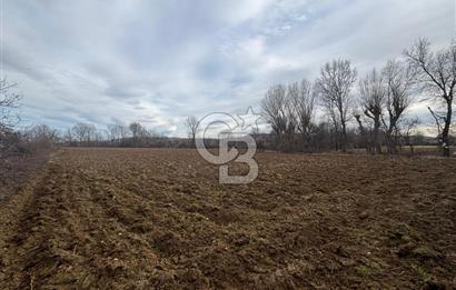 KASTAMONU MERKEZ HASKÖY’DE 8.970 m² SATILIK TARLA