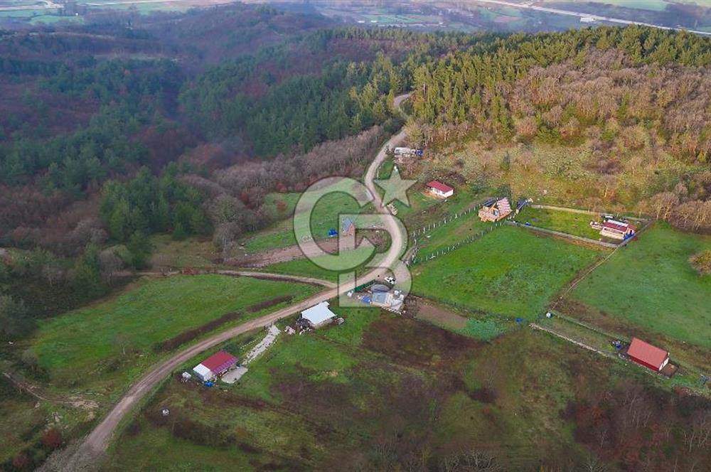 Çanakkale Biga Akkayrak Köyünde Satılık 875m2 Tarla !