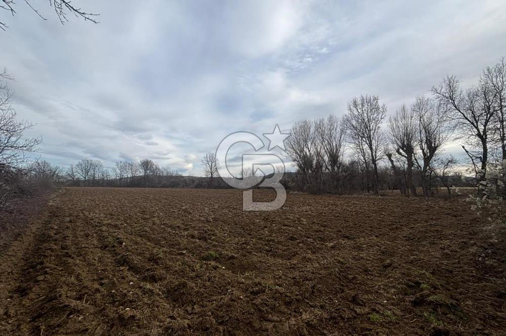 KASTAMONU MERKEZ HASKÖY’DE 8.970 m² SATILIK TARLA