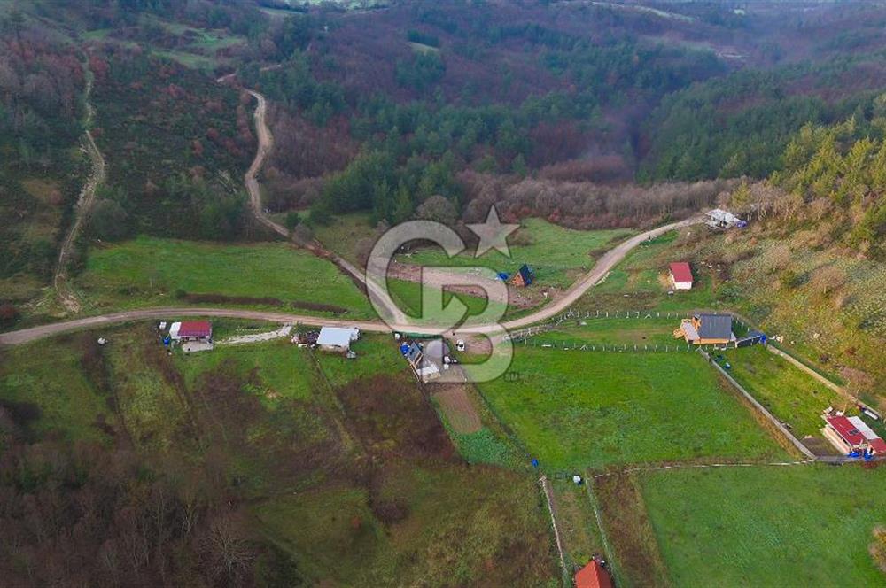 Çanakkale Biga Akkayrak Köyünde Satılık 875m2 Tarla !