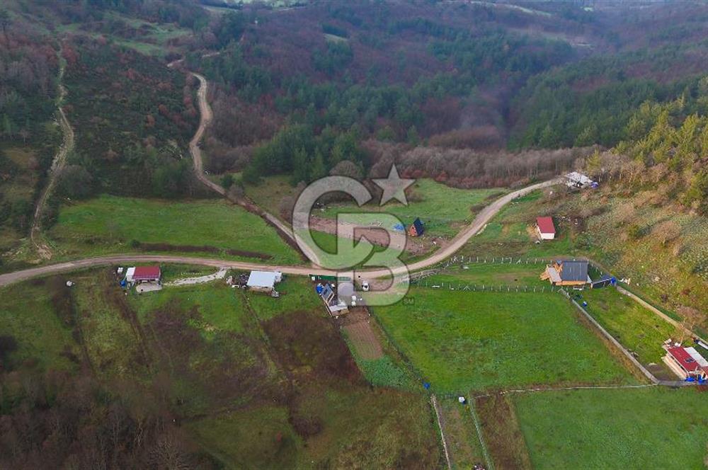 Çanakkale Biga Akkayrak Köyünde Satılık 875m2 Tarla !