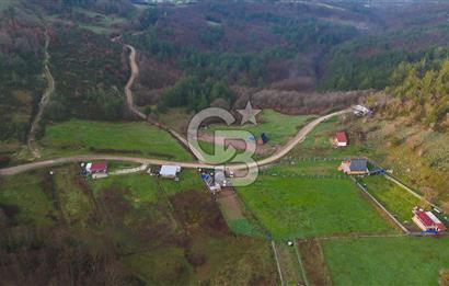 Çanakkale Biga Akkayrak Köyünde Satılık 875m2 Tarla !