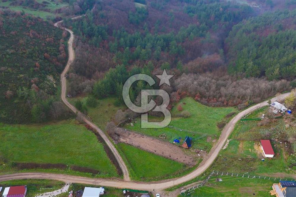 Çanakkale Biga Akkayrak Köyünde Satılık 875m2 Tarla !