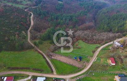 Çanakkale Biga Akkayrak Köyünde Satılık 875m2 Tarla !