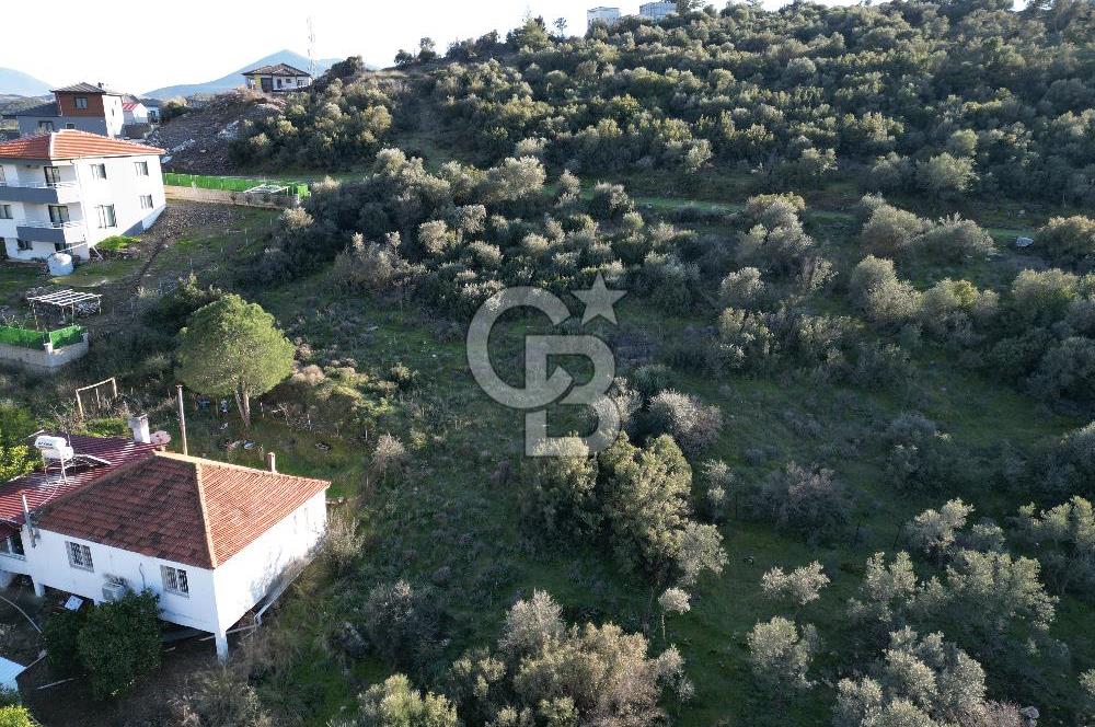 Milas Kafaca Köyü Satılık İmarlı Arsa