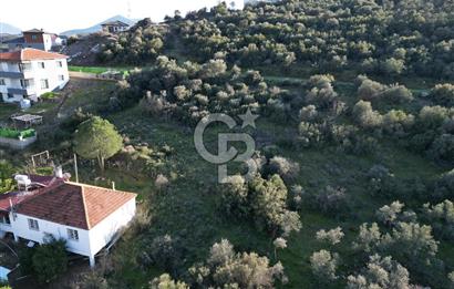 Milas Kafaca Köyü Satılık İmarlı Arsa