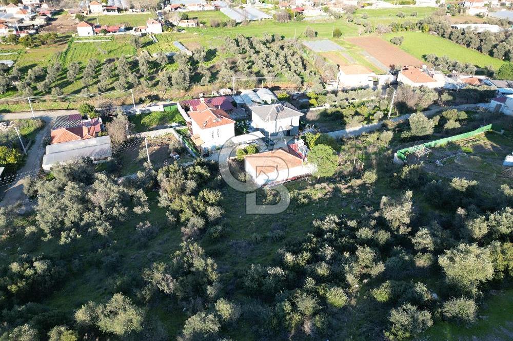 Milas Kafaca Köyü Satılık İmarlı Arsa