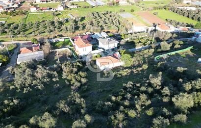 Milas Kafaca Köyü Satılık İmarlı Arsa