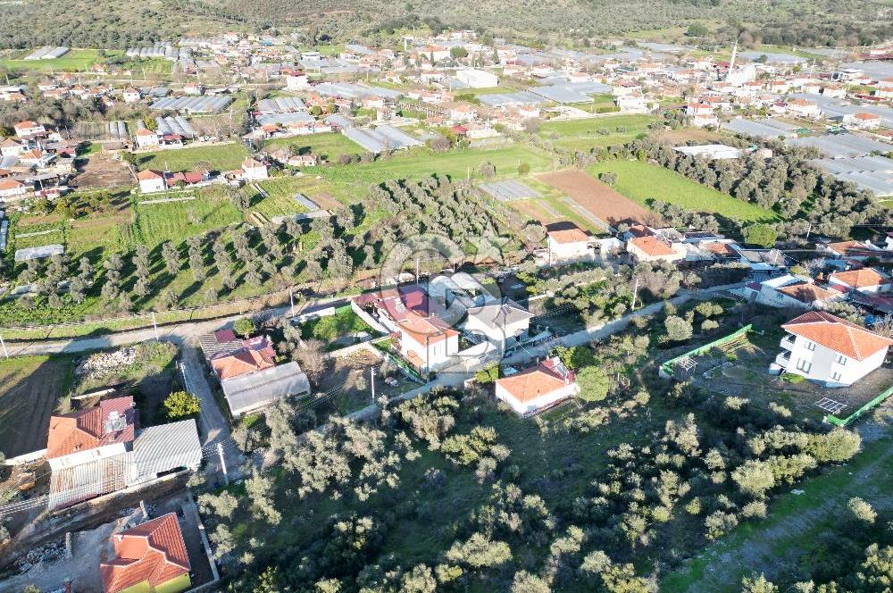 Milas Kafaca Köyü Satılık İmarlı Arsa