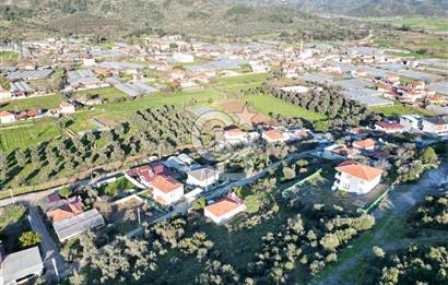 Milas Kafaca Köyü Satılık İmarlı Arsa