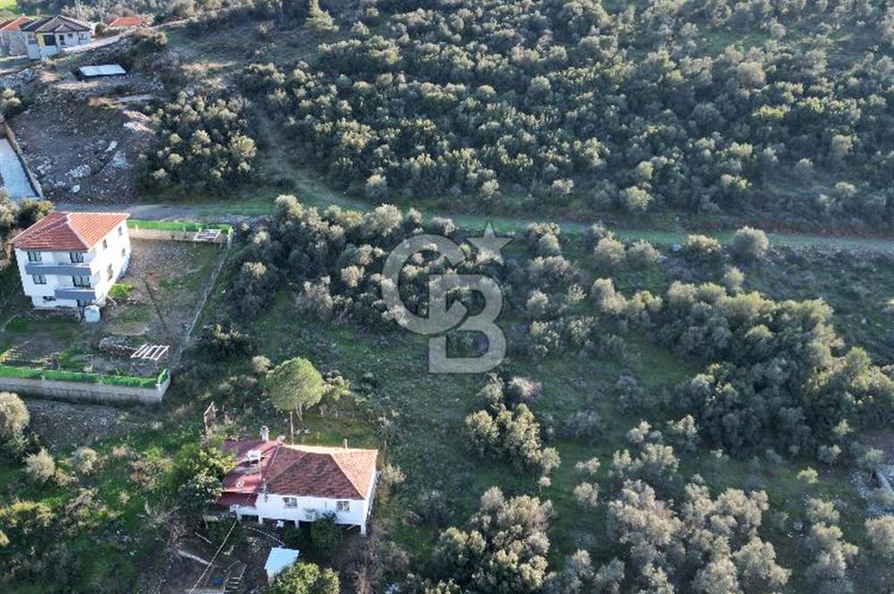 Milas Kafaca Köyü Satılık İmarlı Arsa