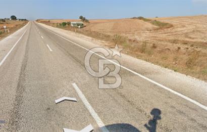 ÇANAKKALE BİGA GÜLEÇ KÖYÜNDE TEK TAPU 1165 m² SATILIK TARLA