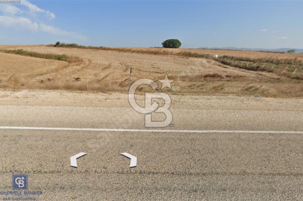 ÇANAKKALE BİGA GÜLEÇ KÖYÜNDE TEK TAPU 1165 m² SATILIK TARLA