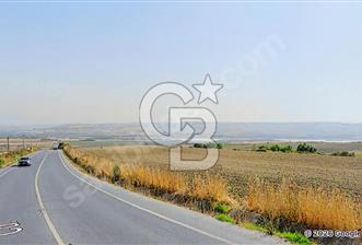 SATILIK YATIRIMLIK FIRSAT ARSA - 2 - 334183