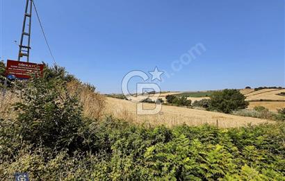 ACİL SATILIK YATIRIMLIK ARSA