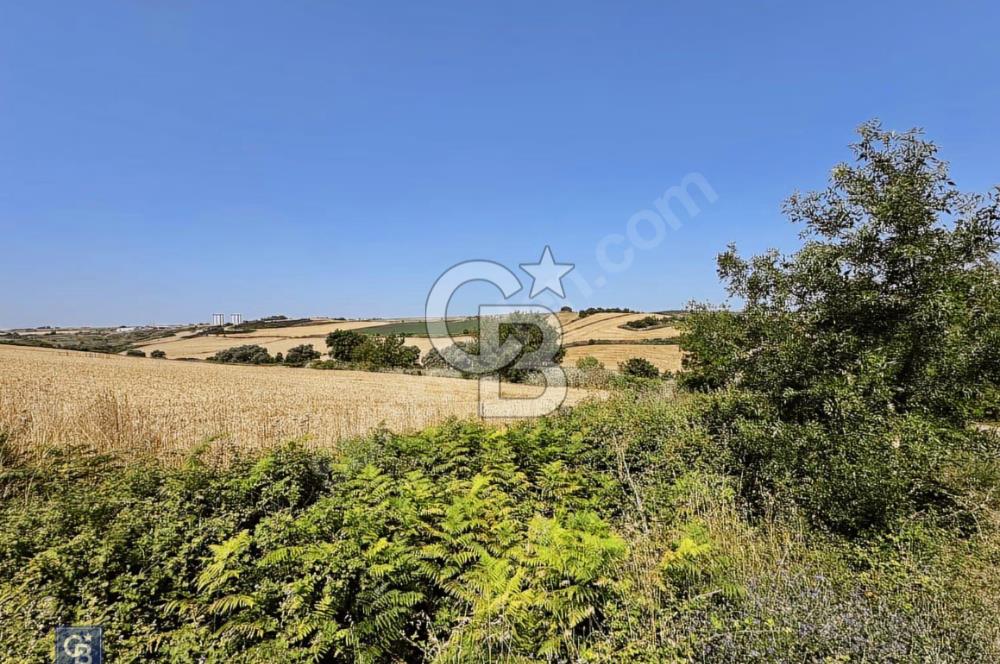 ACİL SATILIK YATIRIMLIK ARSA