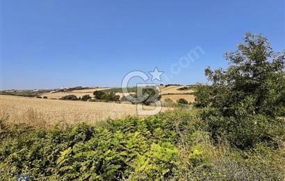 ACİL SATILIK YATIRIMLIK ARSA