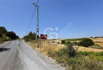 ACİL SATILIK YATIRIM FIRSATI - 1 - 334188