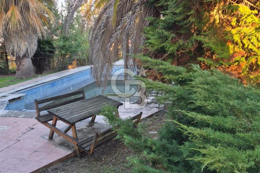 Yalova Altınova çavuş çiftliği eşyalı satılık çiftlik evi 