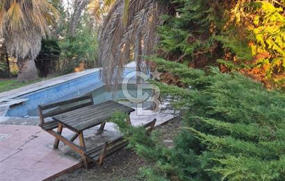 Yalova Altınova çavuş çiftliği eşyalı satılık çiftlik evi 